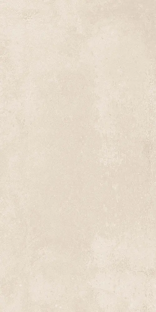 Matt Finish porcelain tiles 600x1200mm