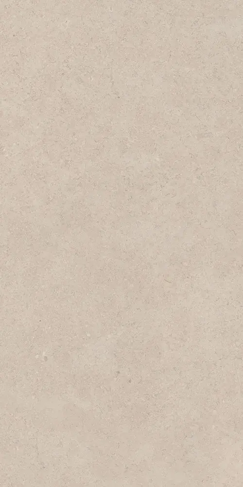 Matt Finish porcelain tiles 600x1200mm