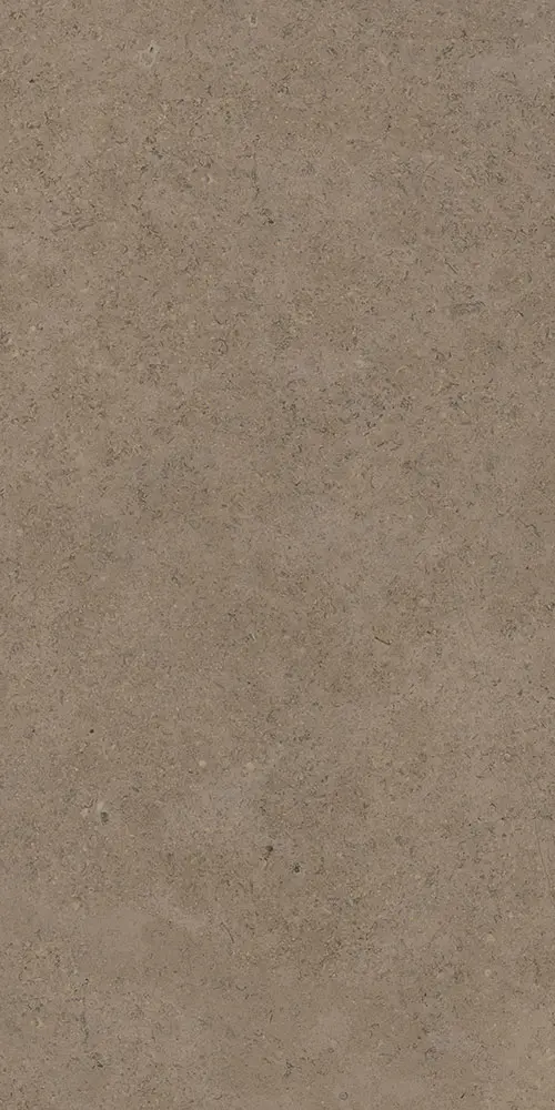 Matt Finish porcelain tiles 600x1200mm