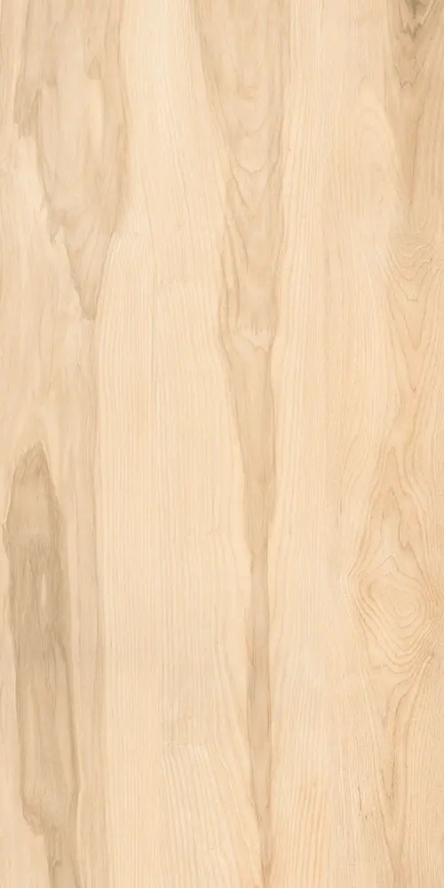 Wood floor porcelain tiles 600x1200mm
