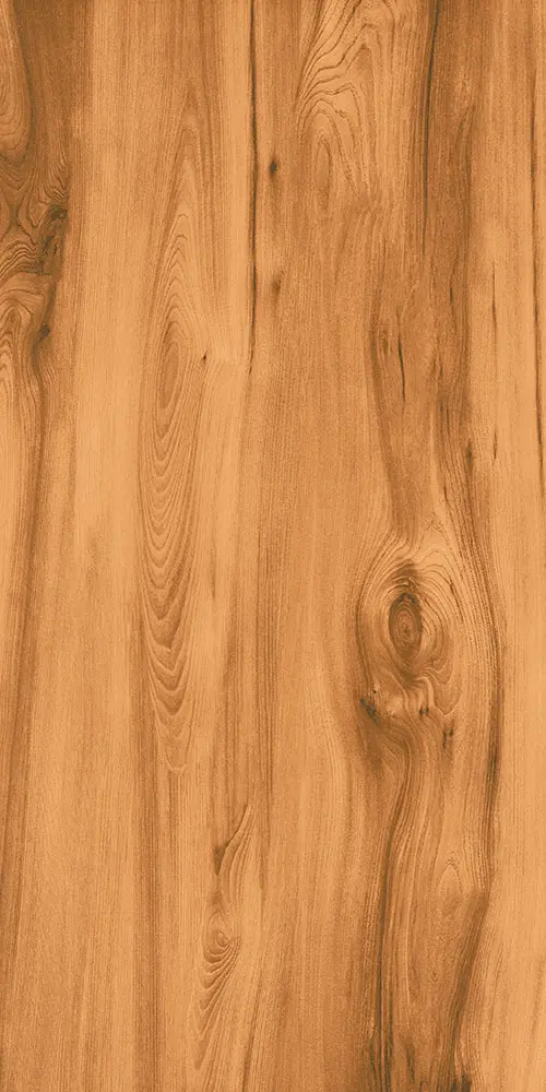 Wood floor porcelain tiles 600x1200mm
