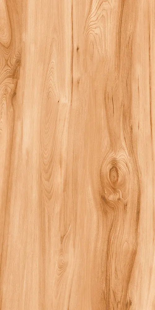 Wood floor porcelain tiles 600x1200mm