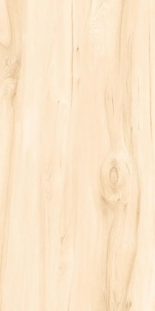 Wood floor porcelain tiles 600x1200mm